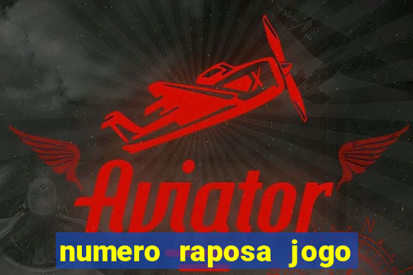 numero raposa jogo do bicho